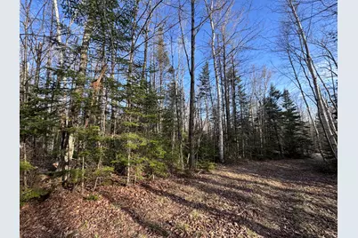 488 Cook Hill Road, Freeman Twp, ME 04983 - Photo 23