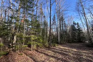 488 Cook Hill Rd, Freeman Twp, ME 04983 - Photo 23