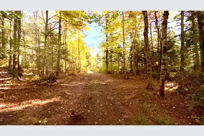 Tbd Ames Road, Lee, ME 04455 - Photo 5
