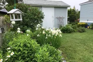 11 K St, Bangor, ME 04401 - Photo 5