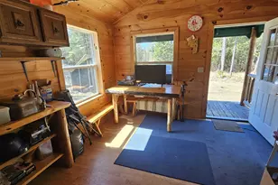 Lot 30 Off Condon Ln, Portage Lake, ME 04768 - Photo 3
