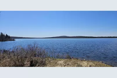 Lot 30 Off Condon Lane, Portage Lake, ME 04768 - Photo 9