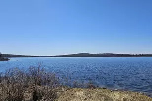 Lot 30 Off Condon Ln, Portage Lake, ME 04768 - Photo 9
