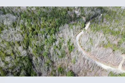 Lot20-20 Bailey Mountain Road, Franklin, ME 04634 - Photo 5