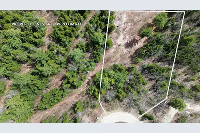 Lot 9 Bailey Mountain Road, Franklin, ME 04634 - Photo 5