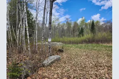 Lot 29-8 Windfall Lane, Palmyra, ME 04965 - Photo 3
