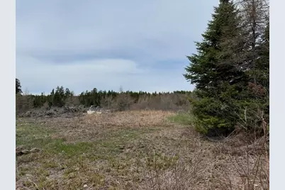 Lot 1 Holmes Bay Farms Road, Whiting, ME 04691 - Photo 5