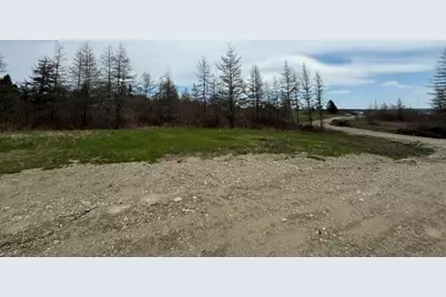 Lot 1 Holmes Bay Farms Road, Whiting, ME 04691 - Photo 3