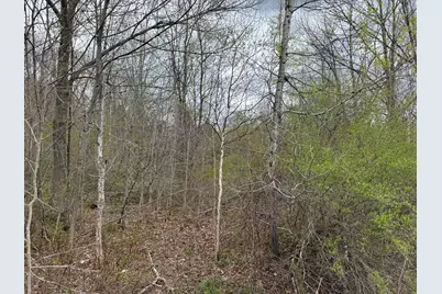 00 State Hwy 150, Parkman, ME 04443 - Photo 7