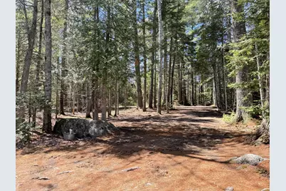 573 Point Road, Otis, ME 04605 - Photo 23