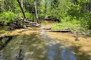 Lot A Goodwin Rd, Carthage, ME 04224 - Photo 23