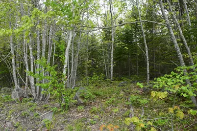 18 Lonely Oaks Way, Franklin, ME 04634 - Photo 3