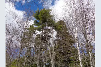 Lot 10 Bailey Mountain Road, Franklin, ME 04634 - Photo 9