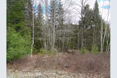 Lot 11 Bailey Mountain Road, Franklin, ME 04634 - Photo 5
