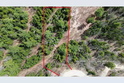 Lot 11 Bailey Mountain Road, Franklin, ME 04634 - Photo 3