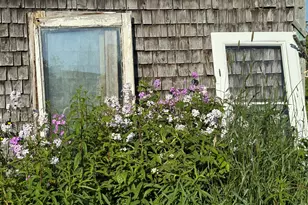 1155 Boot Cove Rd, Lubec, ME 04652 - Photo 11