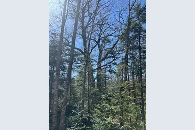 M10 L19-4 Blackswoods Road, Franklin, ME 04634 - Photo 19