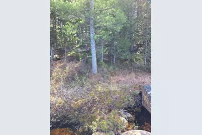 Off Northfield Road, Marshfield, ME 04654 - Photo 33