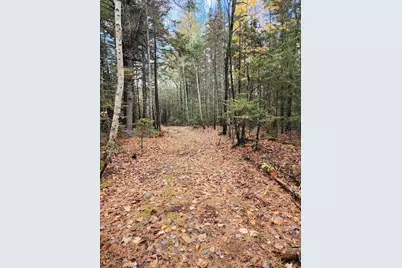 Off Northfield Road, Marshfield, ME 04654 - Photo 17