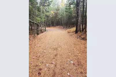 Off Northfield Road, Marshfield, ME 04654 - Photo 13