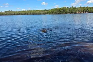 Off Northfield Rd, Marshfield, ME 04654 - Photo 1