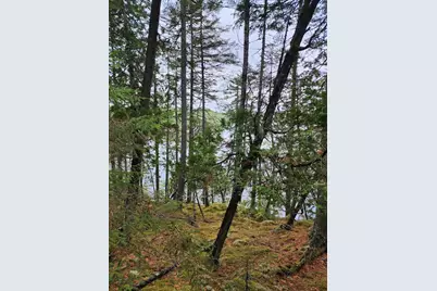 Off Northfield Road, Marshfield, ME 04654 - Photo 31