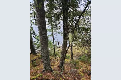 Off Northfield Road, Marshfield, ME 04654 - Photo 29
