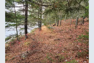 Off Northfield Road, Marshfield, ME 04654 - Photo 23