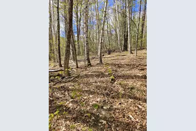 Lot 23 Edes Brook Road, Temple, ME 04984 - Photo 3
