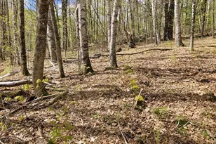 Lot 23 Edes Brook Rd, Temple, ME 04984 - Photo 3
