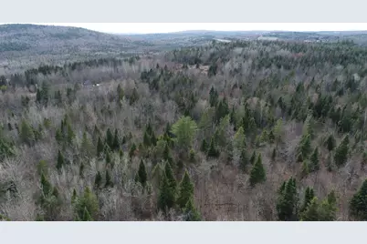 Lot 25 Smyrna Townline Road, Smyrna, ME 04780 - Photo 21