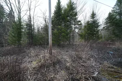 Lot 25 Smyrna Townline Road, Smyrna, ME 04780 - Photo 11
