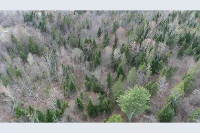 Lot 25 Smyrna Townline Road, Smyrna, ME 04780 - Photo 17