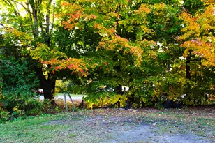 24 Elm St, Houlton, ME 04730 - Photo 19