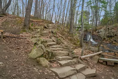 40 Webb Street, Portland, ME 04102 - Photo 37