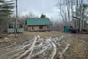 000 James Jipson Rd, Lowell, ME 04493 - Photo 3