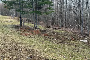 000 James Jipson Rd, Lowell, ME 04493 - Photo 53