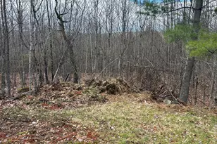 000 James Jipson Rd, Lowell, ME 04493 - Photo 51