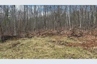 000 James Jipson Road, Lowell, ME 04493 - Photo 49