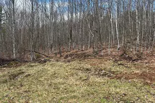 000 James Jipson Rd, Lowell, ME 04493 - Photo 49
