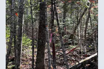 Lot 22 Schoodic Point Road, Medford, ME 04463 - Photo 5