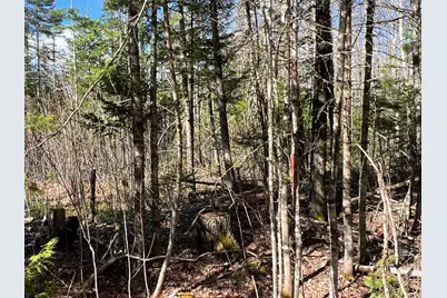 Lot 22 Schoodic Point Road, Medford, ME 04463 - Photo 11
