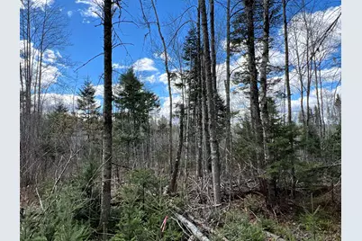 Lot 22 Schoodic Point Road, Medford, ME 04463 - Photo 23