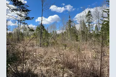 Lot 22 Schoodic Point Road, Medford, ME 04463 - Photo 21