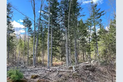 Lot 22 Schoodic Point Road, Medford, ME 04463 - Photo 15