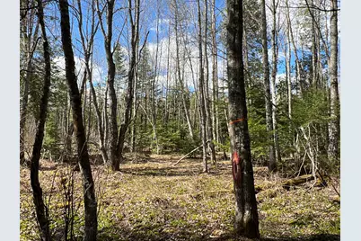 Lot 22 Schoodic Point Road, Medford, ME 04463 - Photo 25