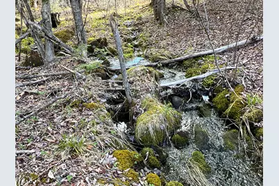 Lot 22 Schoodic Point Road, Medford, ME 04463 - Photo 27
