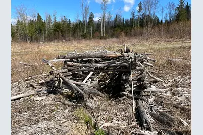 Lot 22 Schoodic Point Road, Medford, ME 04463 - Photo 17