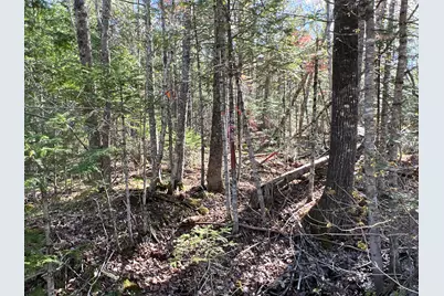 Lot 22 Schoodic Point Road, Medford, ME 04463 - Photo 9