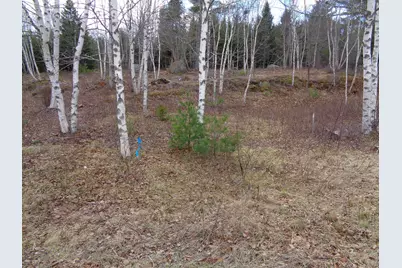 Lot 17 Bailey Mountain Road, Franklin, ME 04634 - Photo 11